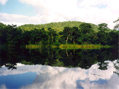 Photo of lake and trees with link
